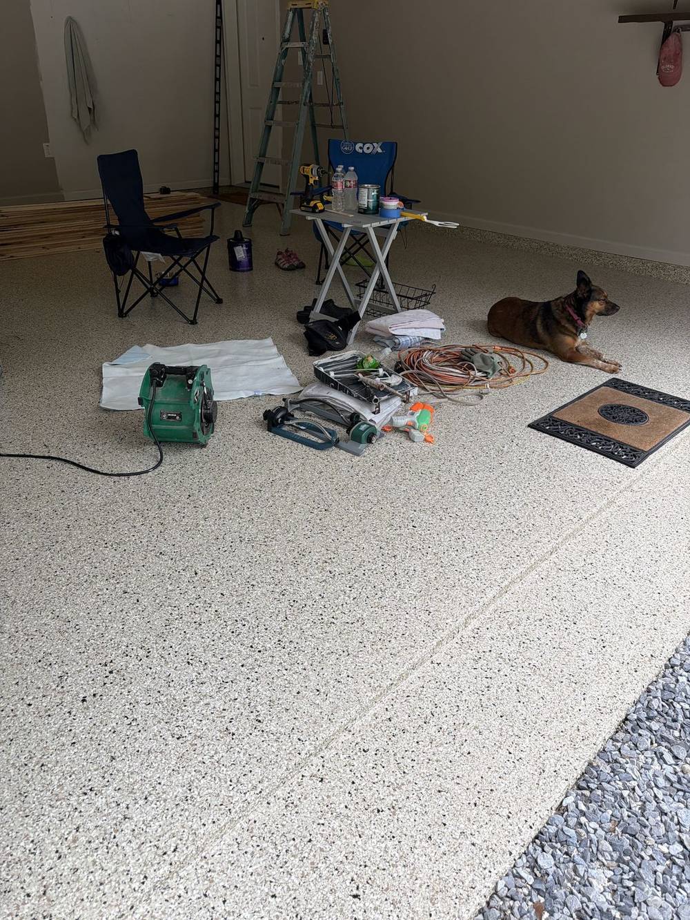 Finished garage floor back in everyday use, family dog included